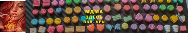 индика Вяземский