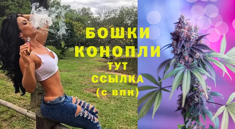 Бошки марихуана OG Kush  Анива 